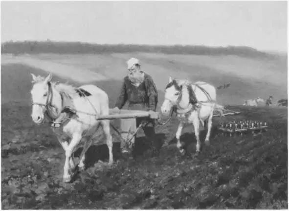 Пахарь Л Н Толстой на пашне И Репин 1887 г Писатель в кабинете в - фото 42