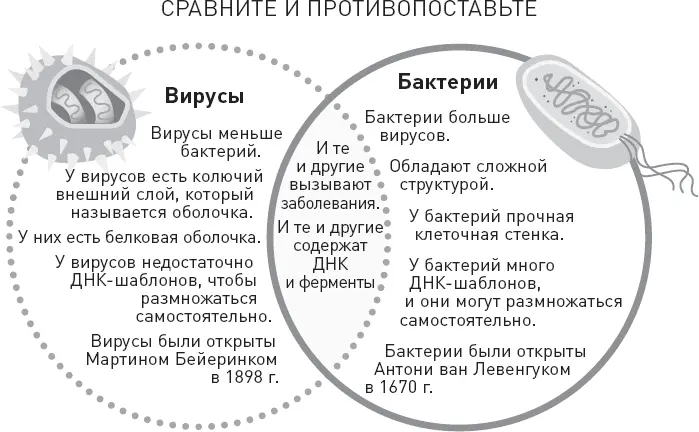 В течение десятилетий врачи распространяли эту медицинскую ложь причем даже - фото 57