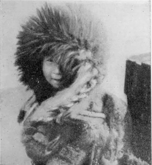 Этот юный эскимос из Нома в своей парке из вольих шкур не обращает ни малейшего - фото 15