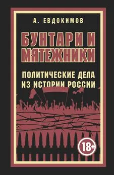 Александр Евдокимов - Бунтари и мятежники. Политические дела из истории России