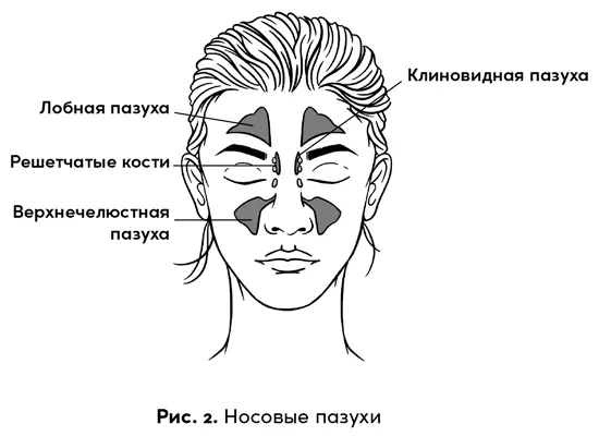 Существует несколько основных симптомов заболевания носовых пазух Мы чувствуем - фото 3