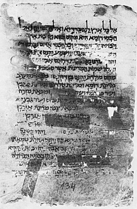 Фрагмент Свитка Овадии из Каирской генизы XII век Уникальная особенность - фото 32