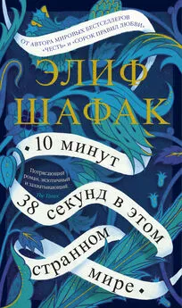 Элиф Шафак - 10 минут 38 секунд в этом странном мире [litres]