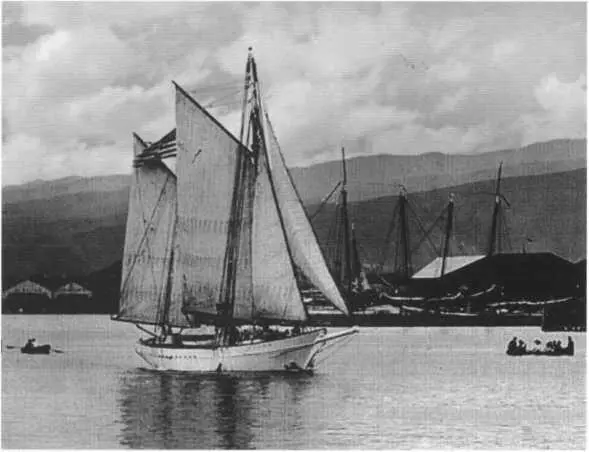 Снарк входит в гавань Гонолулу 1907 г Джек Лондон в Австралии 1908 г - фото 20
