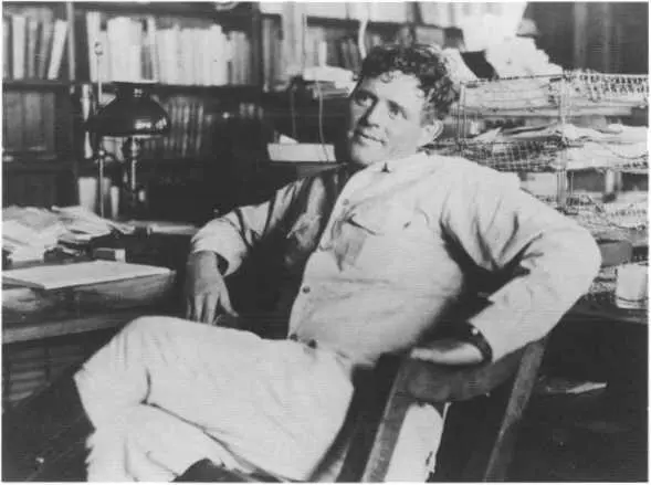 Писатель за рабочим столом 1914 г Чармиан и Джек Лондон на отдыхе в - фото 25