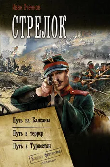 Иван Оченков - Стрелок: Путь на Балканы. Путь в террор. Путь в Туркестан [сборник litres]