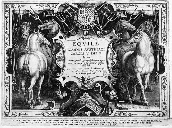 Рис 4 Титульный лист Equile Joannis Austriaci Caroli V Jmp F 1578 Рис - фото 58