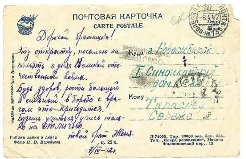 Осколки Краткие заметки о жизни и кино - фото 19