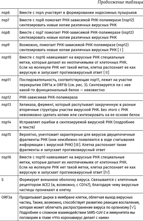 В геноме SARSCoV2 видны еще три последовательности с которых теоретически - фото 6
