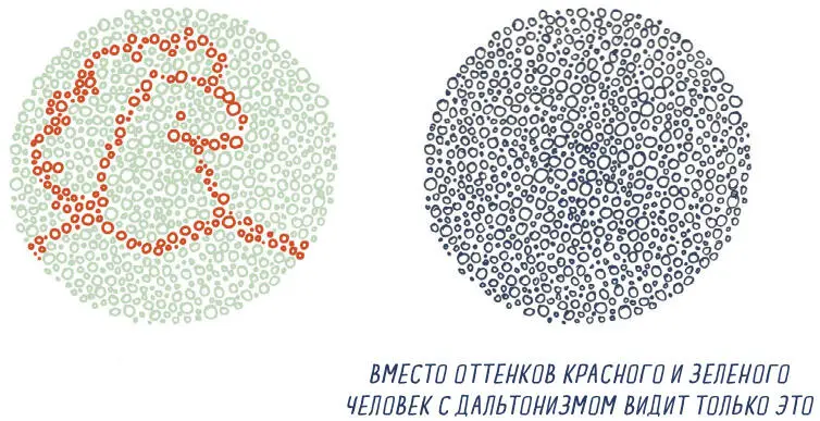 Нос тысячи различных запахов Попробуй скосить глаза Что ты увидишь - фото 50