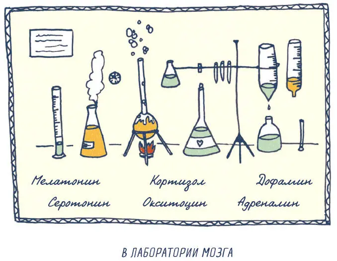 Когда влюбленность перерастает в любовь Влюбленность вызывает стресс поэтому - фото 72