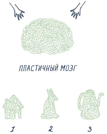 Мы поговорили о том как мозг запоминает информацию А вот как он - фото 91