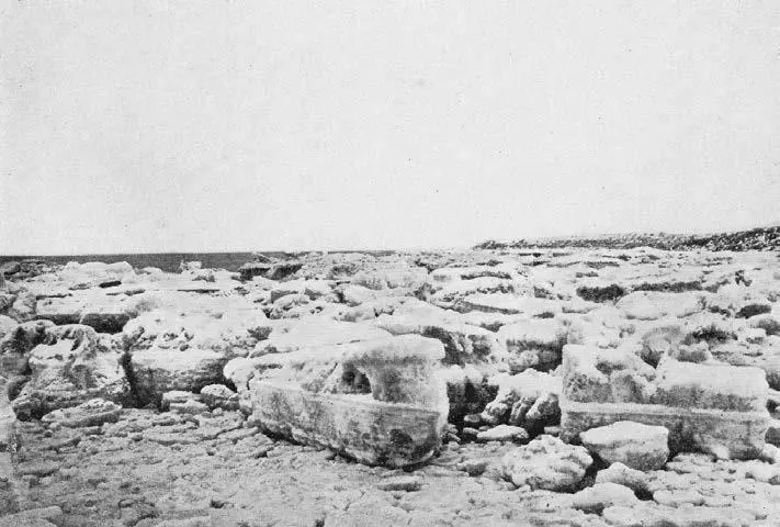 Льды у мыса Высокого отлив Видимо 31 июля 1903 г На заднем плане справа - фото 98