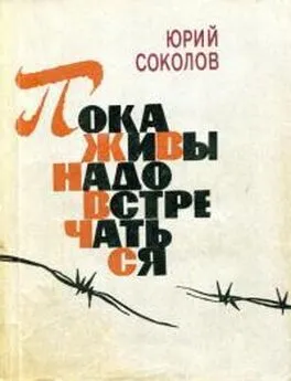 Юрий Соколов - Пока живы — надо встречаться