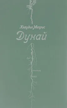 Клаудио Магрис - Дунай