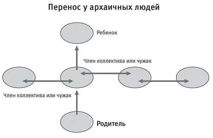 Диаграмма показывающая что в силу короткой жизни и небольших социальных групп - фото 35
