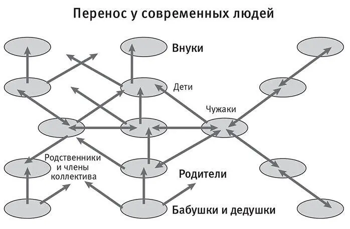 Диаграмма показывающая что у современных людей в силу более долгой жизни и - фото 36