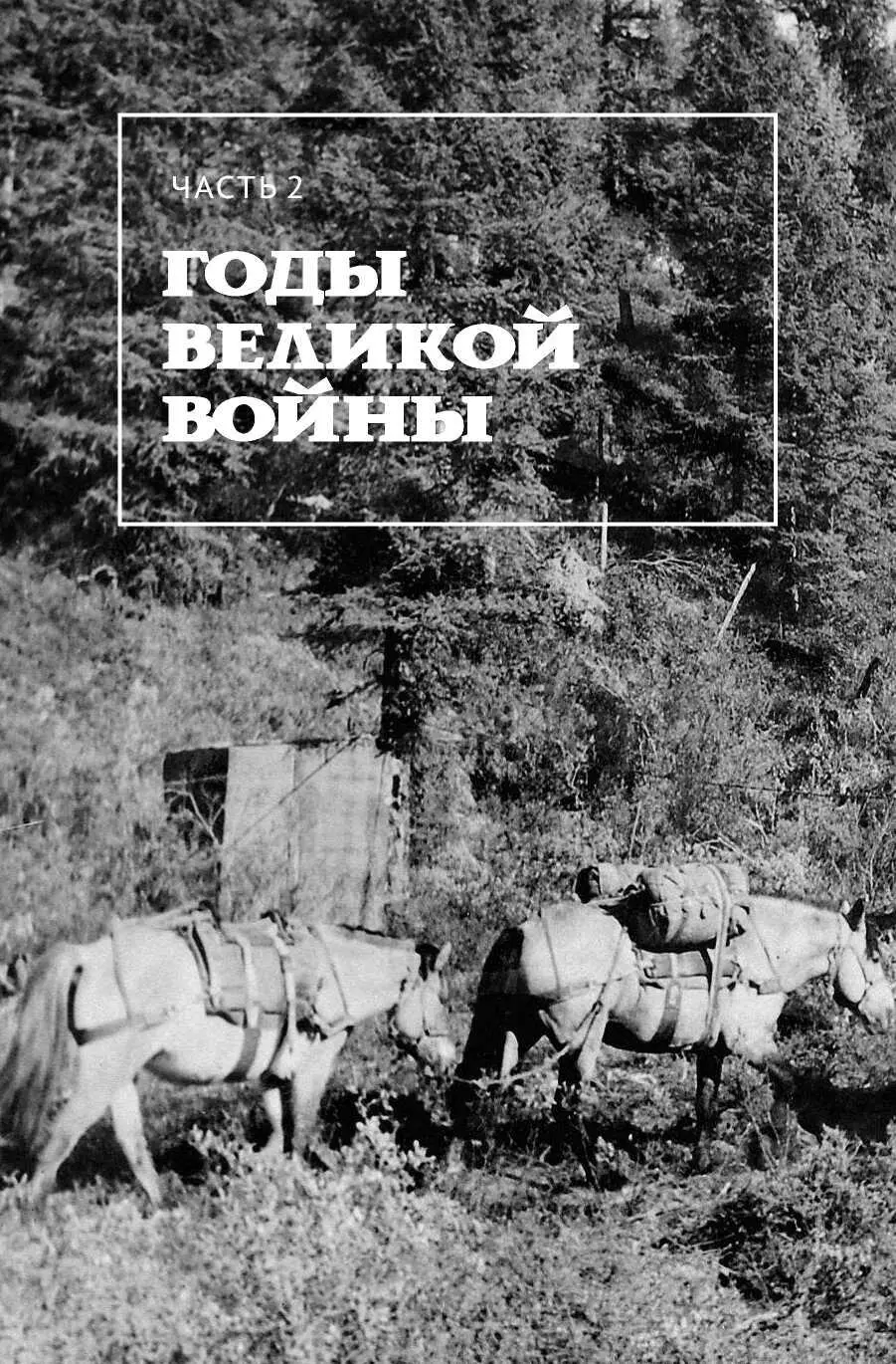 В УстьОмчуге Война Вернувшись в УстьОмчуг после трехдневного пребывания на - фото 38