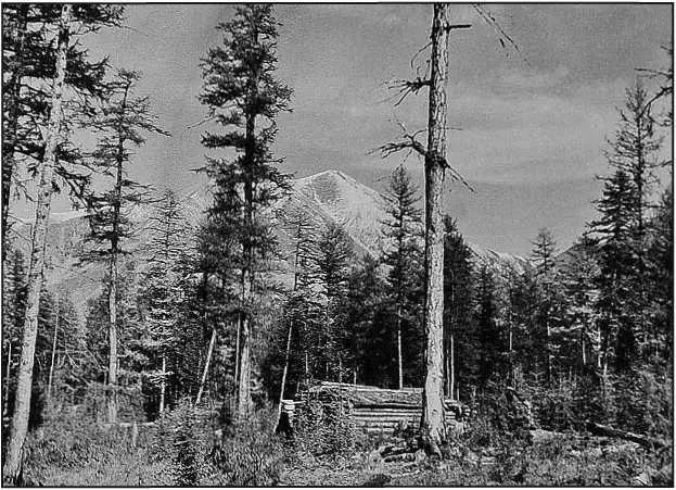 Типичный геологический дом Фото 1949 г Не доходя истоков Армани мы провели - фото 41