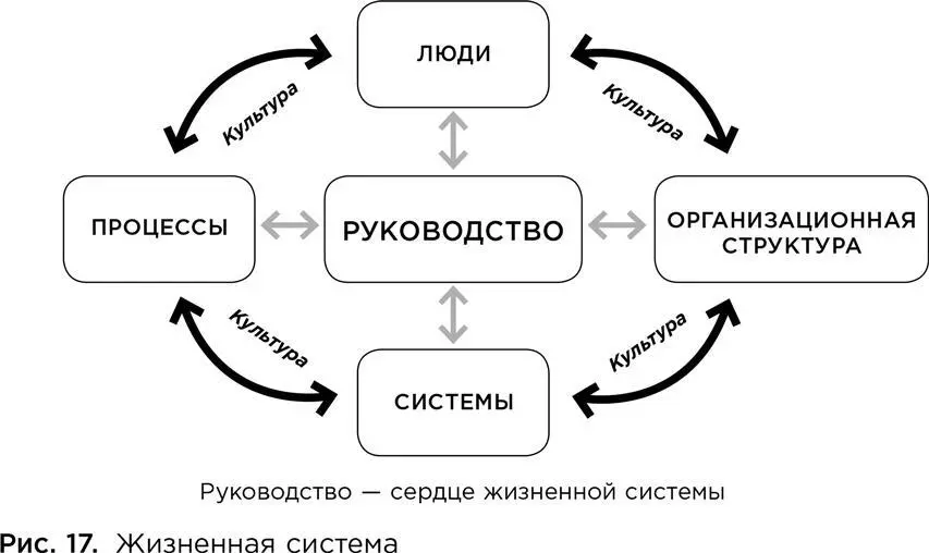 Организации часто совершают ошибку сосредотачиваясь на том или ином элементе - фото 44