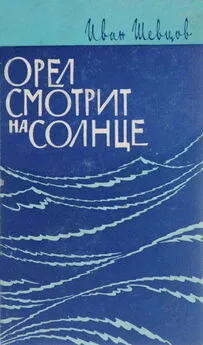 Иван Шевцов - Орел смотрит на солнце