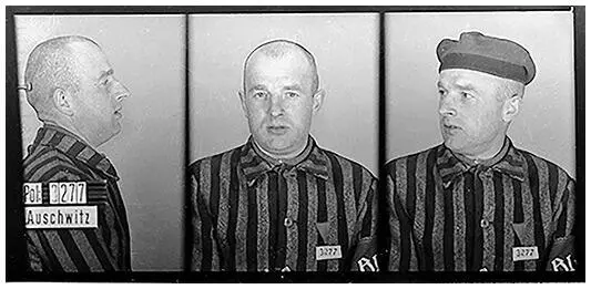 Алоиз Шталлер Ок 1941 года Предоставлено Государственным музеем - фото 21