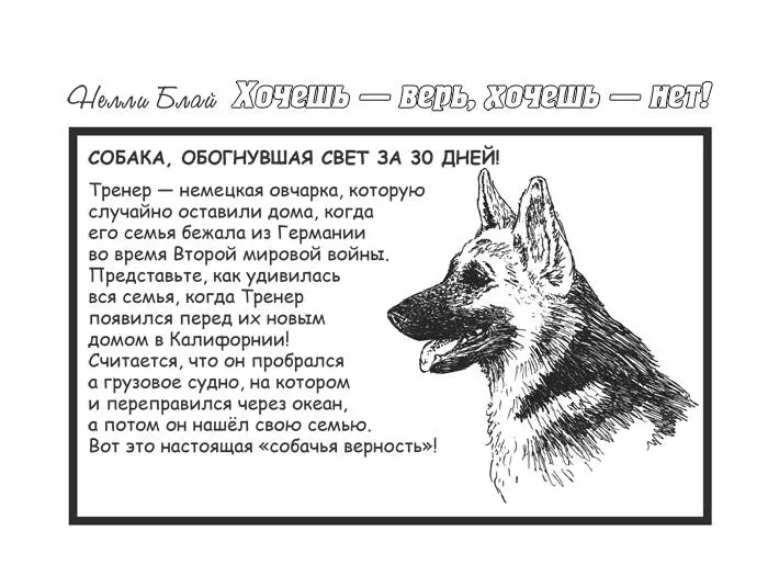Я удовлетворённо улыбнулась Такое я могу написать Мой план состоял в том - фото 1