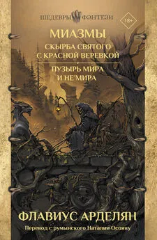 Флавиус Арделян - Скырба святого с красной веревкой. Пузырь Мира и не'Мира