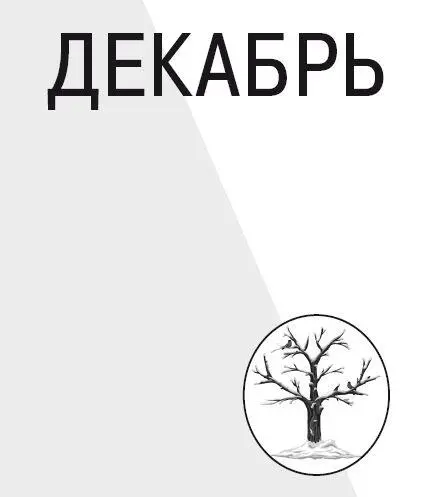 1 декабря Физика на кухне раздавленная банка Простой но очень эффектный - фото 12