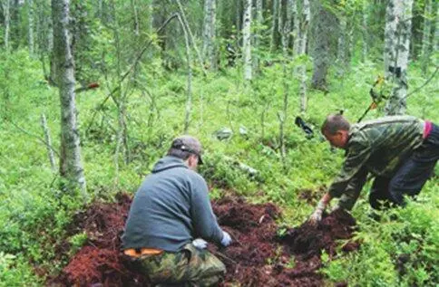 Останки Туре Стрёма лежали на земле под самой большой сопкой высоты Хассельман - фото 105