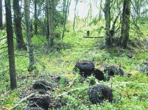 До сих пор сохранились остатки колючей проволоки натянутой когдато вокруг - фото 108
