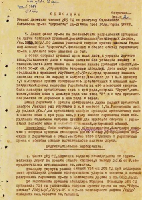 Завершение трагедии герои или плохое руководство Когда бои на Хассельмане - фото 115