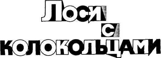 СЛУЧАЙ В ЛЕСУ 1 Когда случилась эта история Лешка Савкин был - фото 4