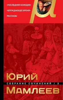 Юрий Мамлеев - Том 2. Последняя комедия. Блуждающее время. Рассказы