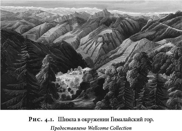 Эта фраза собственно говоря и объясняла назначение Уокера Британской - фото 25