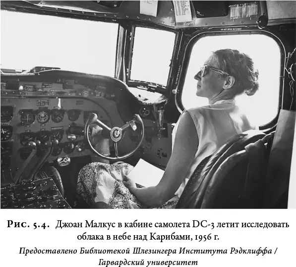 Прекрасно осознавая все сложности Малкус тем не менее не могла отказаться от - фото 31
