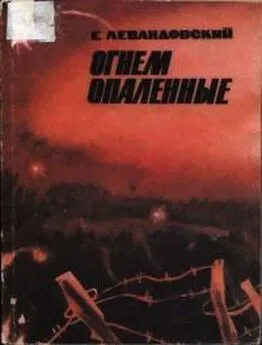 Евгений Левандовский - Огнем опаленные