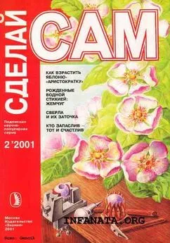 Валентин Волков - Как взрастить яблоню-аристократку. Рожденные водной стихией: жемчуг...(Сделай сам №2•2001)