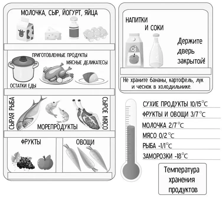 А что можно И главное как Даже в одном холодильнике разные полки и места - фото 33