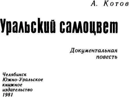 Как это начиналось Причудливо извиваясь на бесконечных поворотах - фото 2