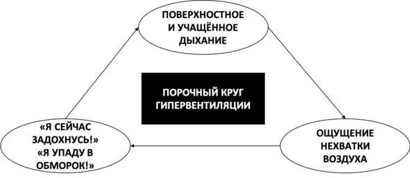 Рис 11 Порочный круг гипервентиляции Страх сойти с ума Многие люди - фото 17