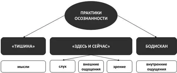 Рис 19Практики осознанности Перейдём к непосредственному изучению практик - фото 27