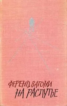 Ференц Загони - На распутье