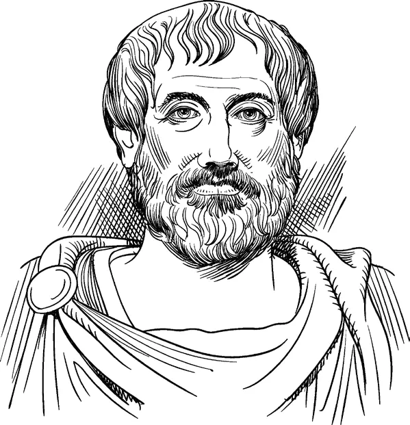 Аристотель В III веке до нашей эры александрийские врачи Герофил и Эразистрат - фото 4