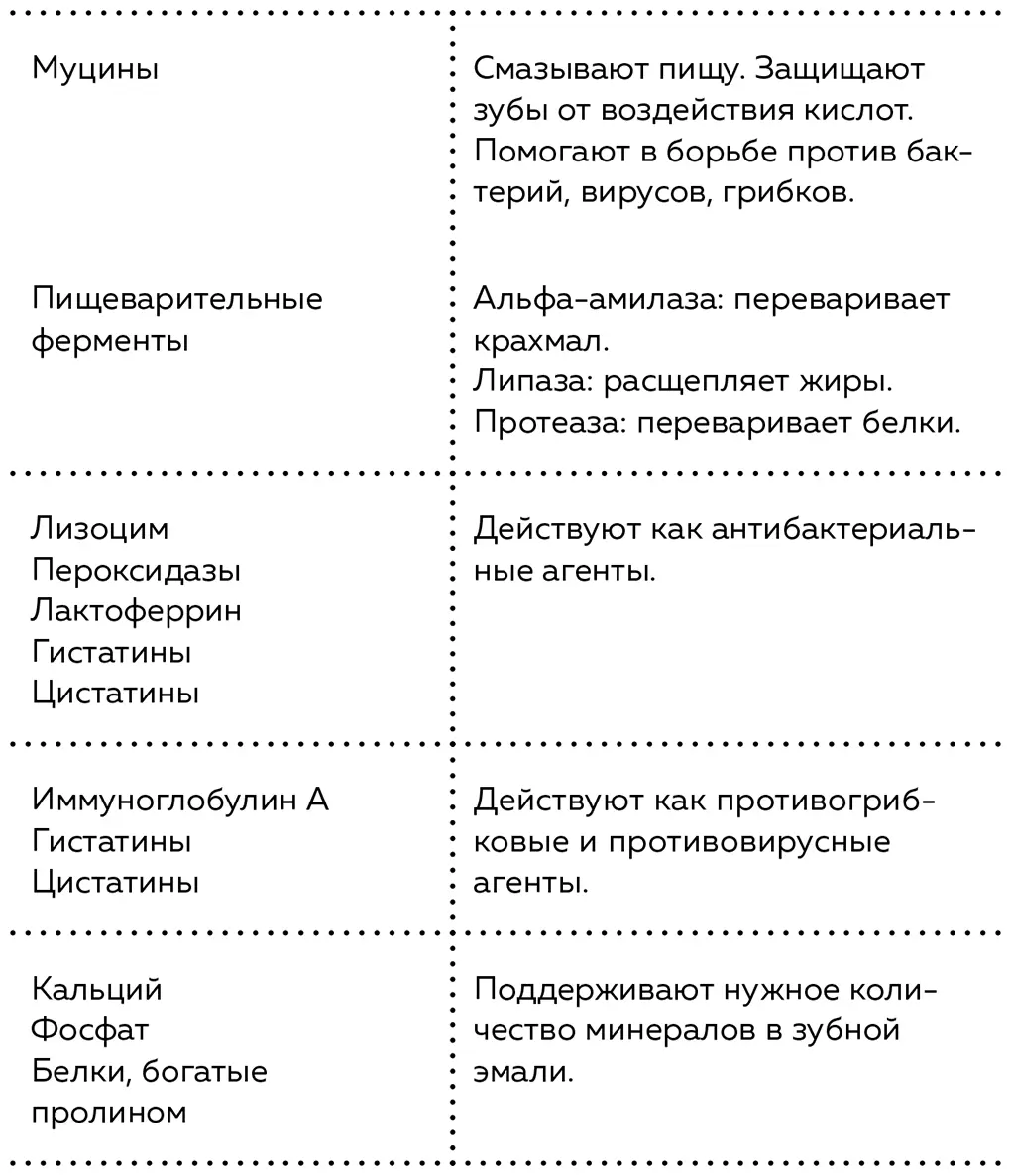 Слюноотделение регулируется рефлексами вегетативной нервной системы Рефлексы - фото 14