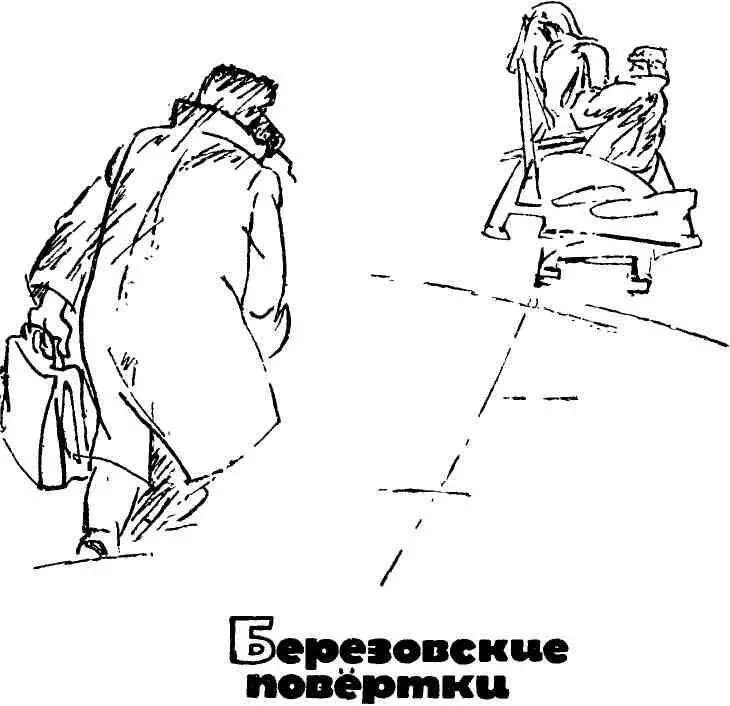 1 Вековые заросли ельника туманная лента Жимолохи стелющаяся по низинам - фото 4