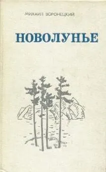 Михаил Воронецкий - Новолунье