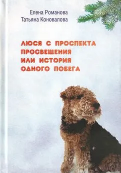 Елена Романова - Люся с проспекта Просвещения или История одного побега