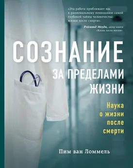 Пим Ломмель - Сознание за пределами жизни. Наука о жизни после смерти