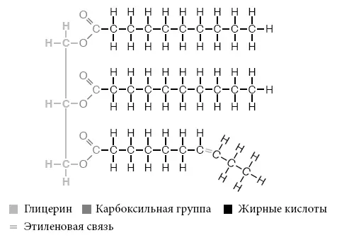 Итак как я уже сказал когда дело касается продуктов которые мы едим - фото 18